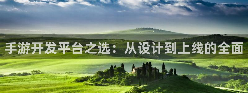 巅峰国际官网：手游开发平台之选：从设计到上线的全面