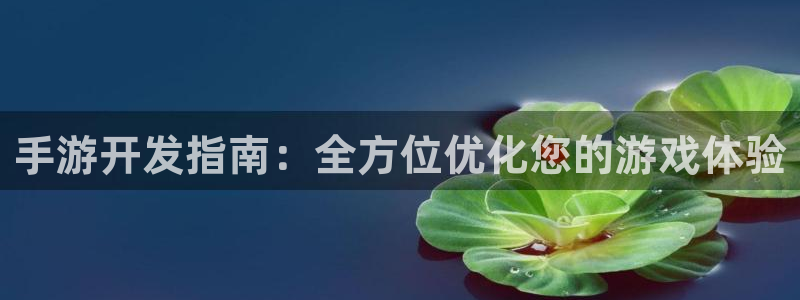 巅峰国际平台：手游开发指南：全方位优化您的游戏体验