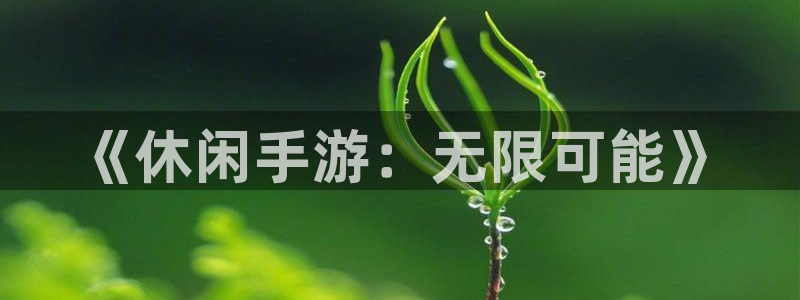 巅峰国际登陆：《休闲手游：无限可能》