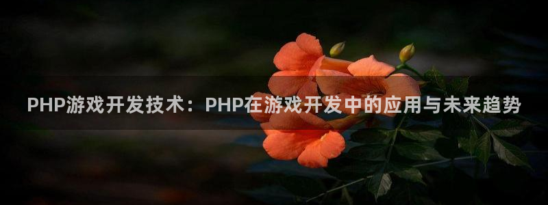 巅峰国际注册：PHP游戏开发技术：PHP在游戏开发中的应用与