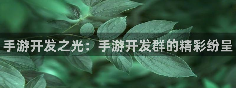 巅峰国际登陆：手游开发之光：手游开发群的精彩纷呈