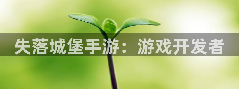 巅峰国际官网：失落城堡手游：游戏开发者