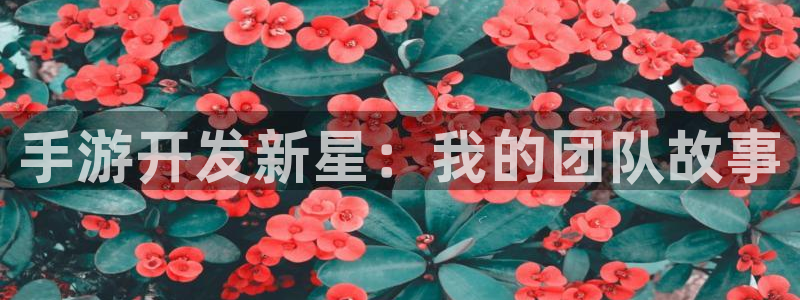 巅峰国际：手游开发新星：我的团队故事