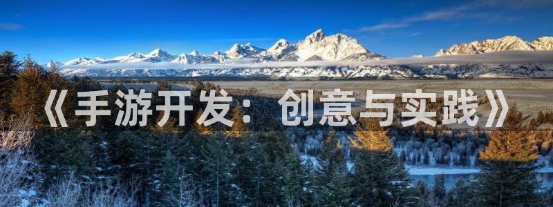 巅峰国际登陆：《手游开发：创意与实践》