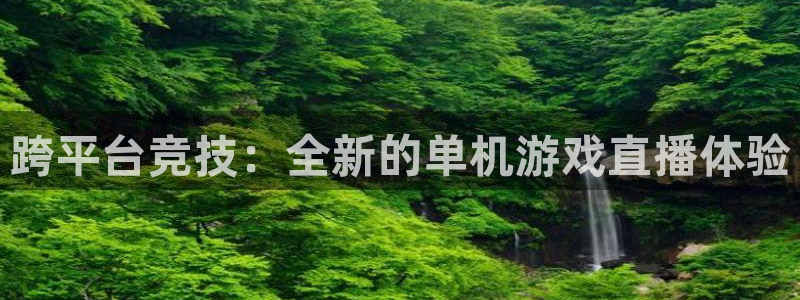88看球视频直播nba：跨平台竞技：全新的单机游戏直播体验
