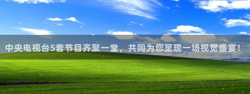 888看球直播：中央电视台5套节目齐聚一堂，共同为您呈现一场视觉盛宴！