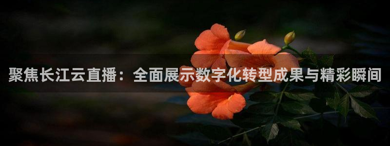 足球直播_篮球直播_免费在线看 | 88看球：聚焦长江云直播：全面展示数字化转型成果与精彩瞬间