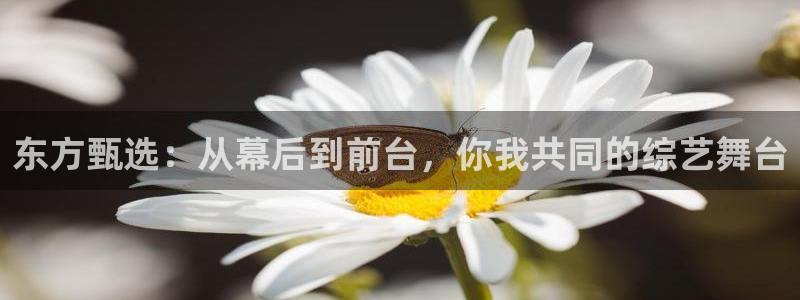 88看球nba直播免费下载：东方甄选：从幕后到前台，你我共同的综艺舞台